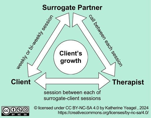 SPT Triadic Model Diagram created by Katherine Yeagel